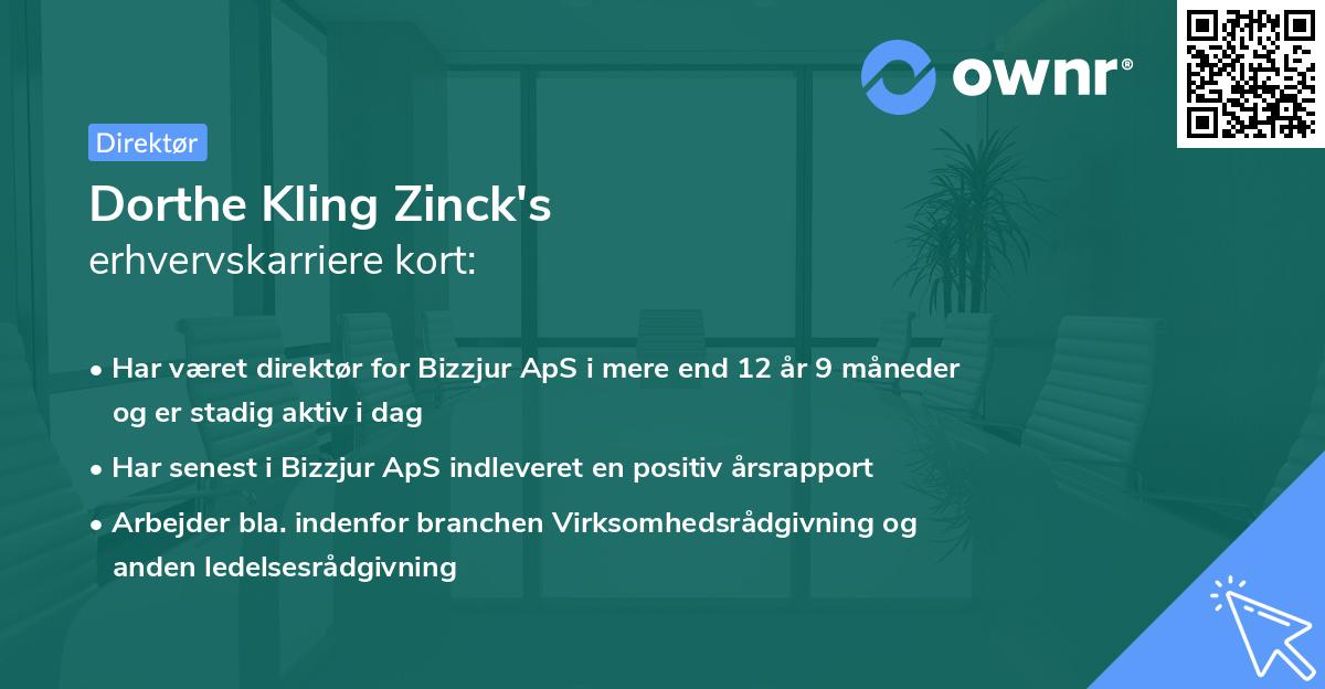 Dorthe Kling Zinck's erhvervskarriere kort