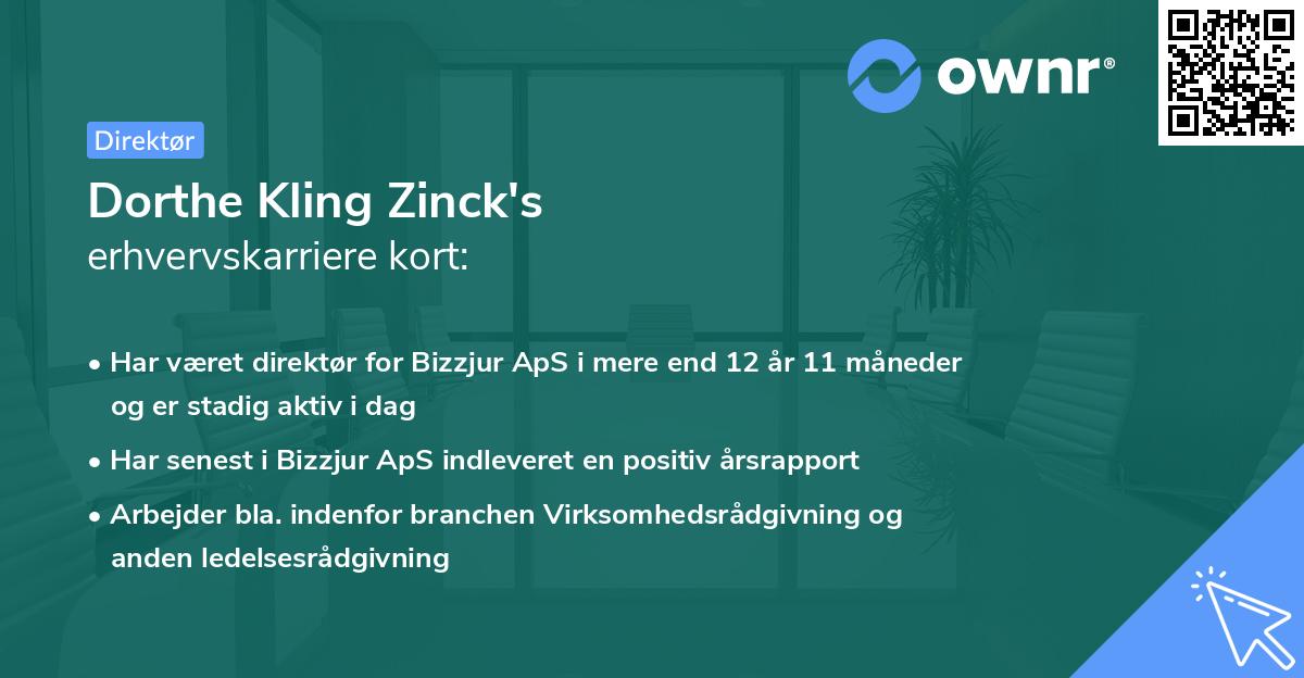 Dorthe Kling Zinck's erhvervskarriere kort