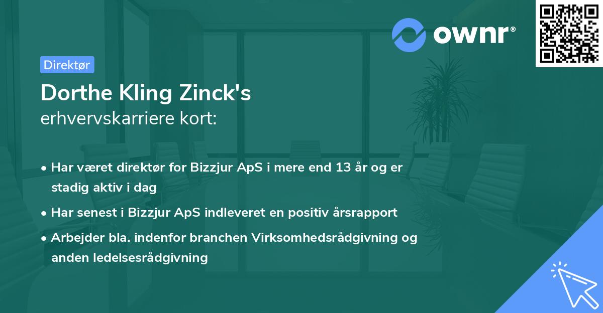 Dorthe Kling Zinck's erhvervskarriere kort