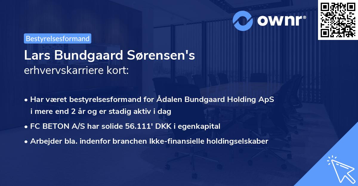 Lars Bundgaard Sørensen's erhvervskarriere kort
