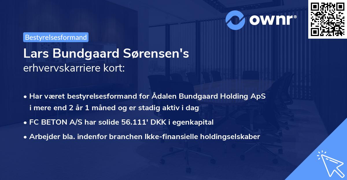 Lars Bundgaard Sørensen's erhvervskarriere kort
