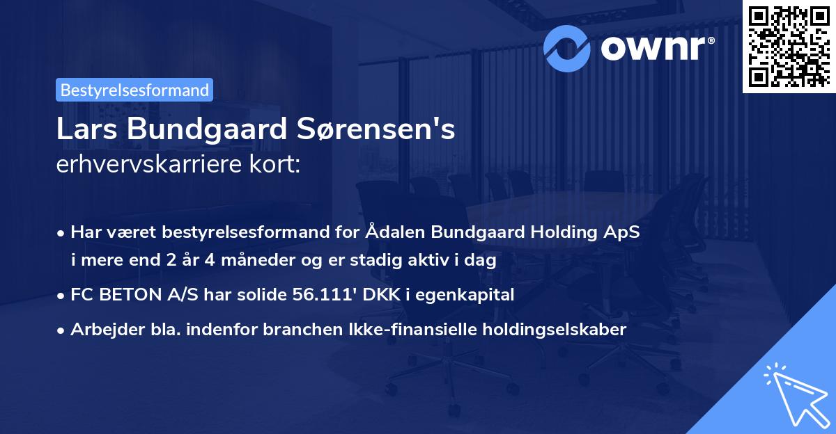 Lars Bundgaard Sørensen's erhvervskarriere kort