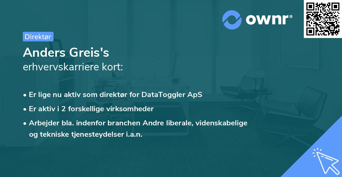 Anders Greis's erhvervskarriere kort