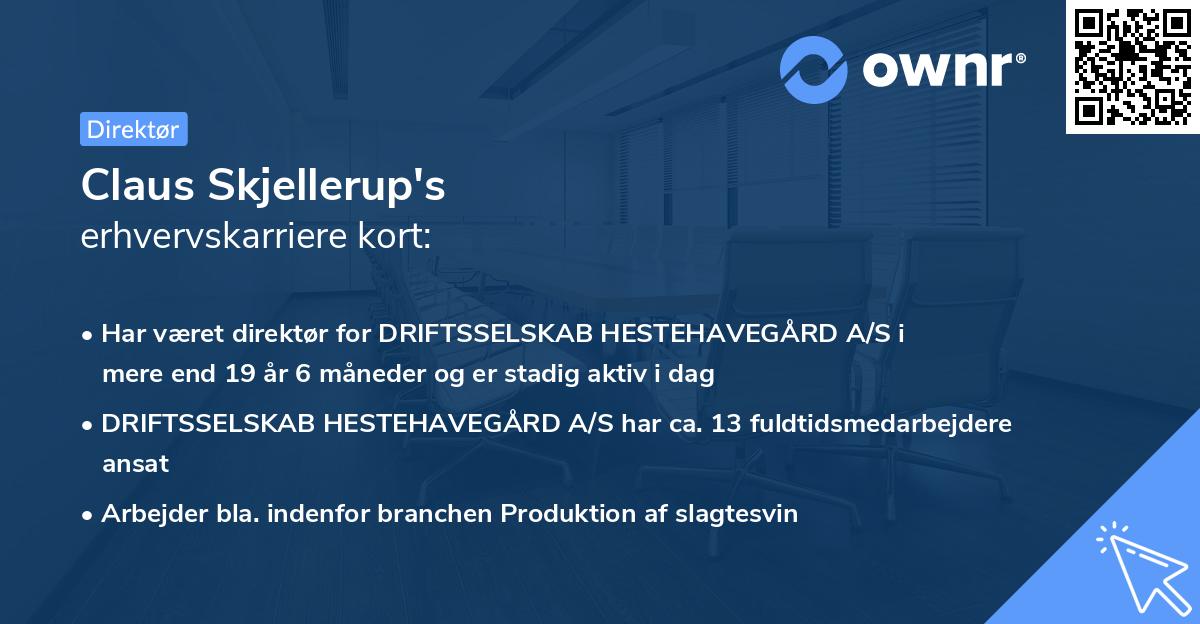 Claus Skjellerup's erhvervskarriere kort
