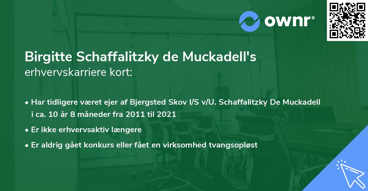Birgitte Schaffalitzky de Muckadell's erhvervskarriere kort