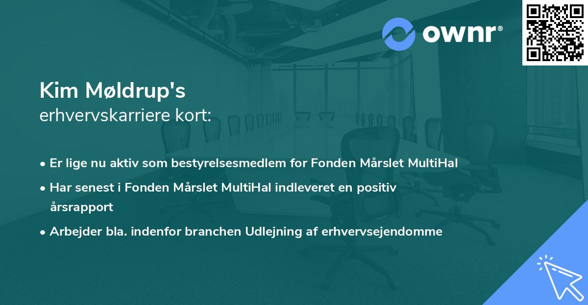 Kim Møldrup's erhvervskarriere kort