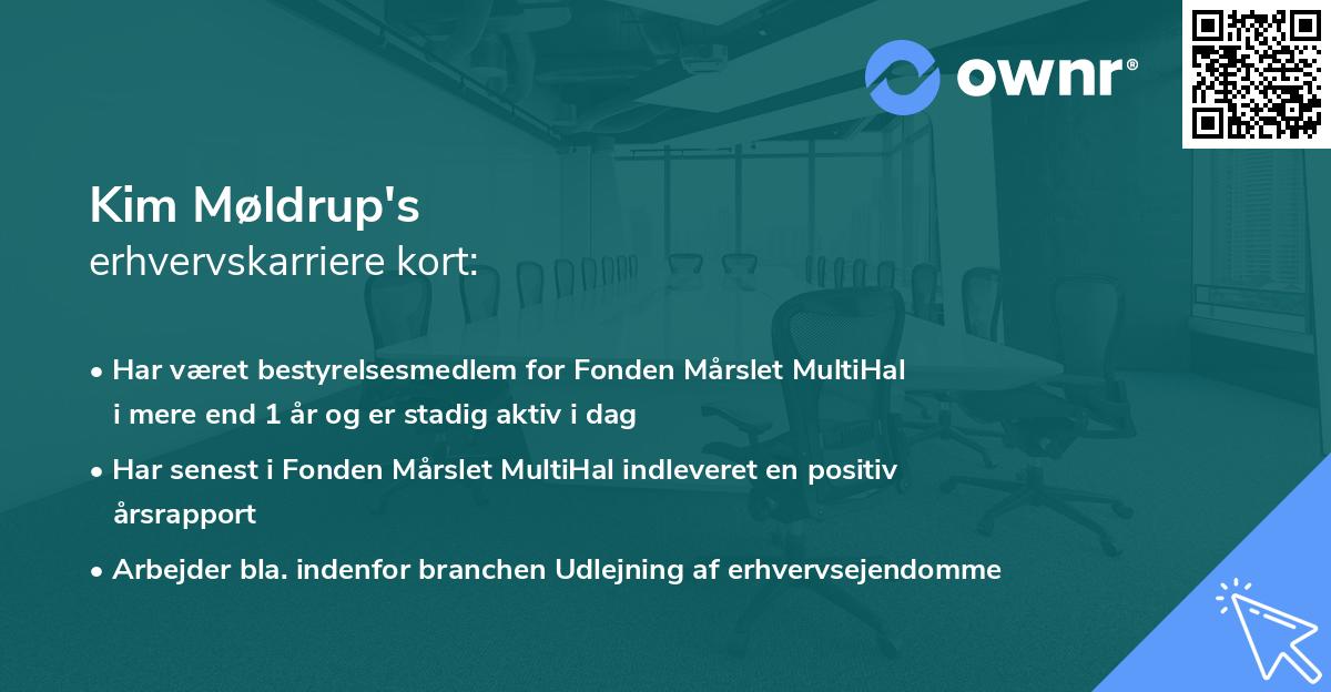 Kim Møldrup's erhvervskarriere kort