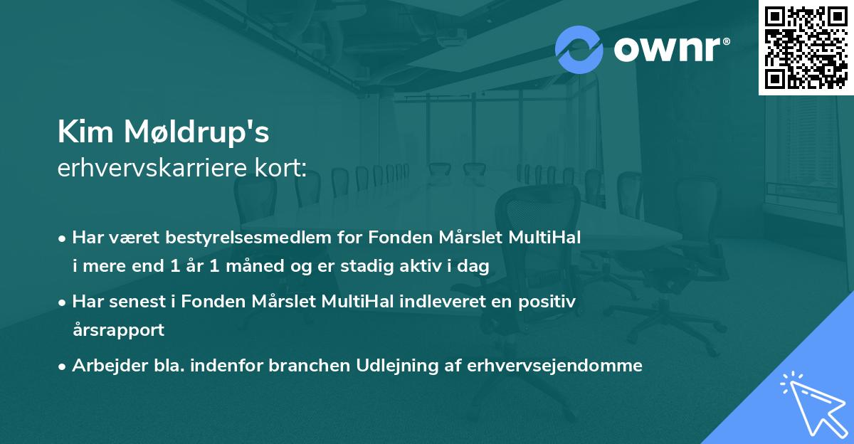 Kim Møldrup's erhvervskarriere kort