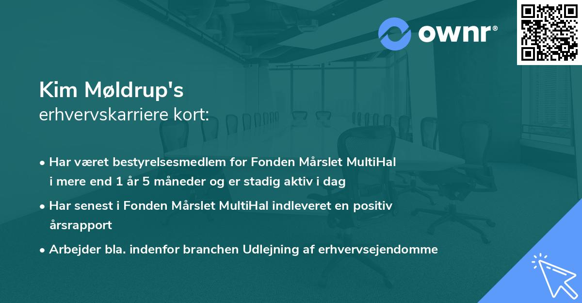 Kim Møldrup's erhvervskarriere kort