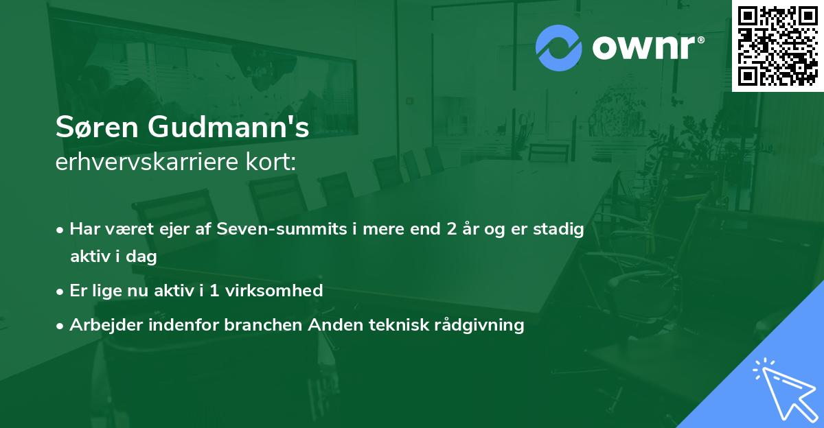 Søren Gudmann's erhvervskarriere kort