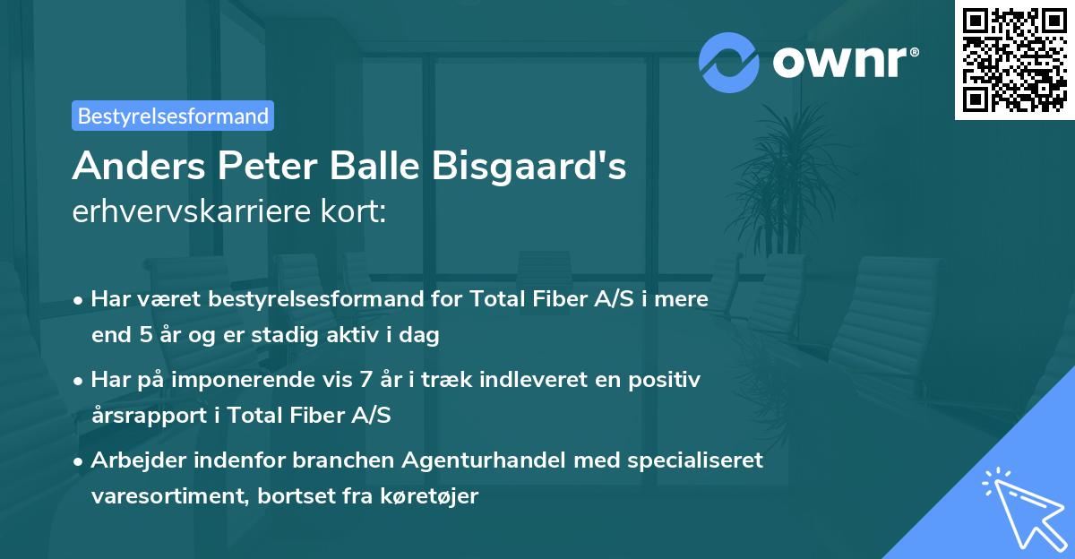 Anders Peter Balle Bisgaard's erhvervskarriere kort