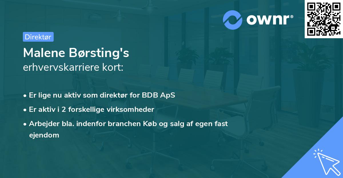 Malene Børsting's erhvervskarriere kort