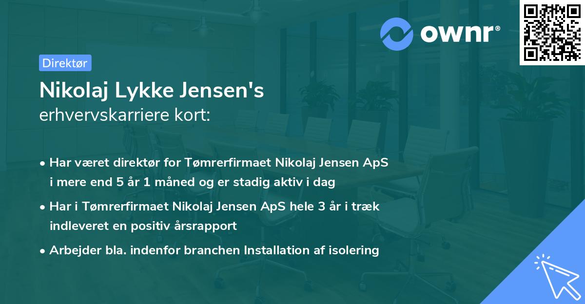 Nikolaj Lykke Jensen's erhvervskarriere kort