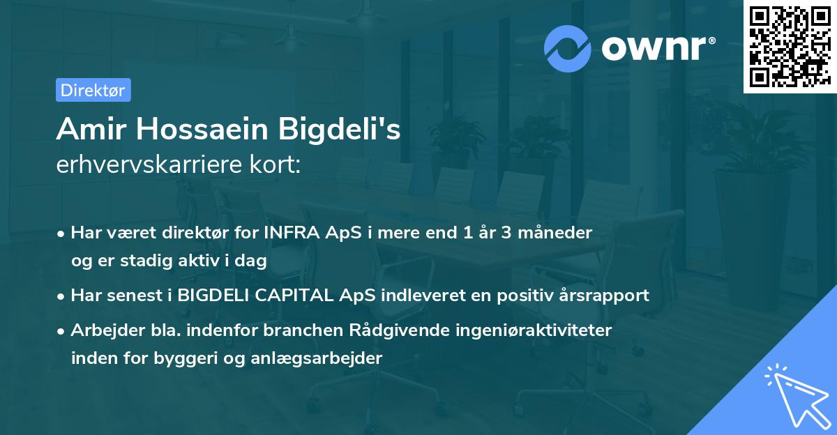 Amir Hossaein Bigdeli's erhvervskarriere kort