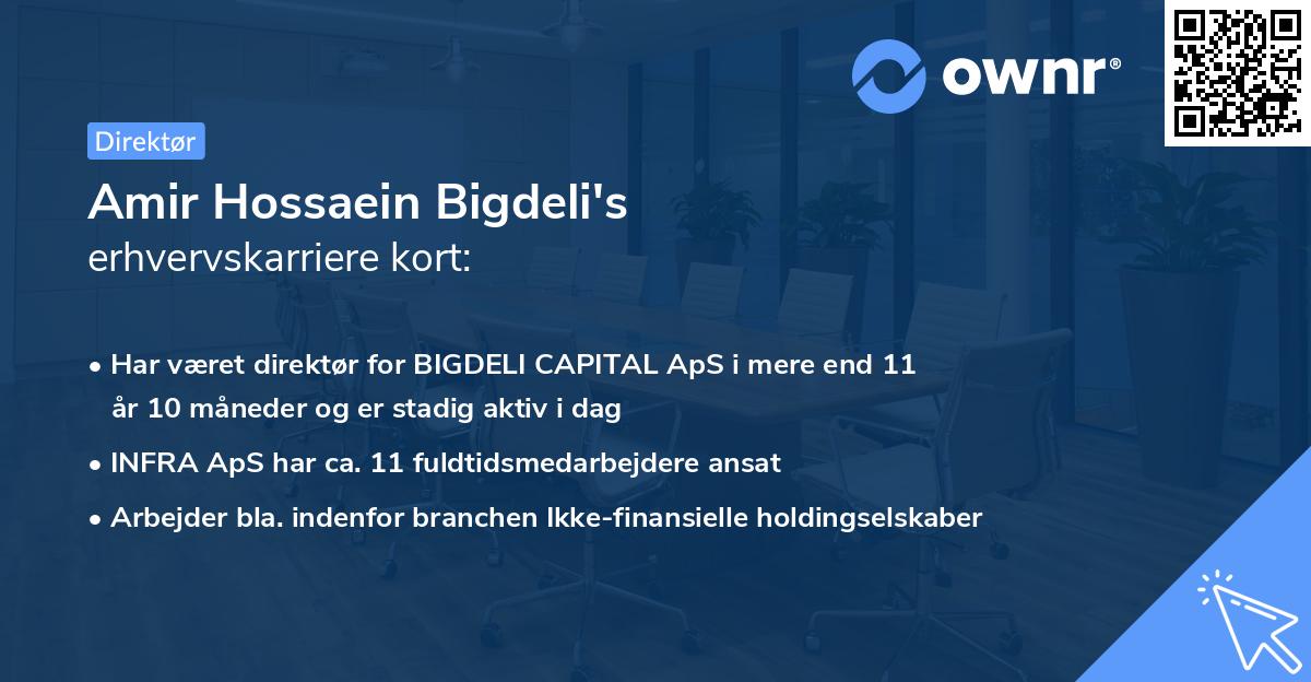 Amir Hossaein Bigdeli's erhvervskarriere kort