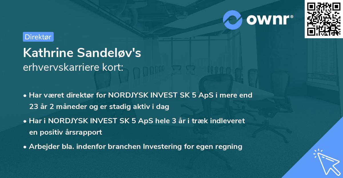 Kathrine Sandeløv's erhvervskarriere kort
