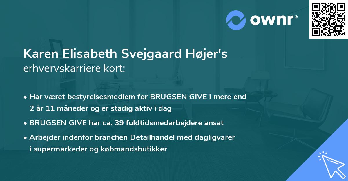 Karen Elisabeth Svejgaard Højer's erhvervskarriere kort
