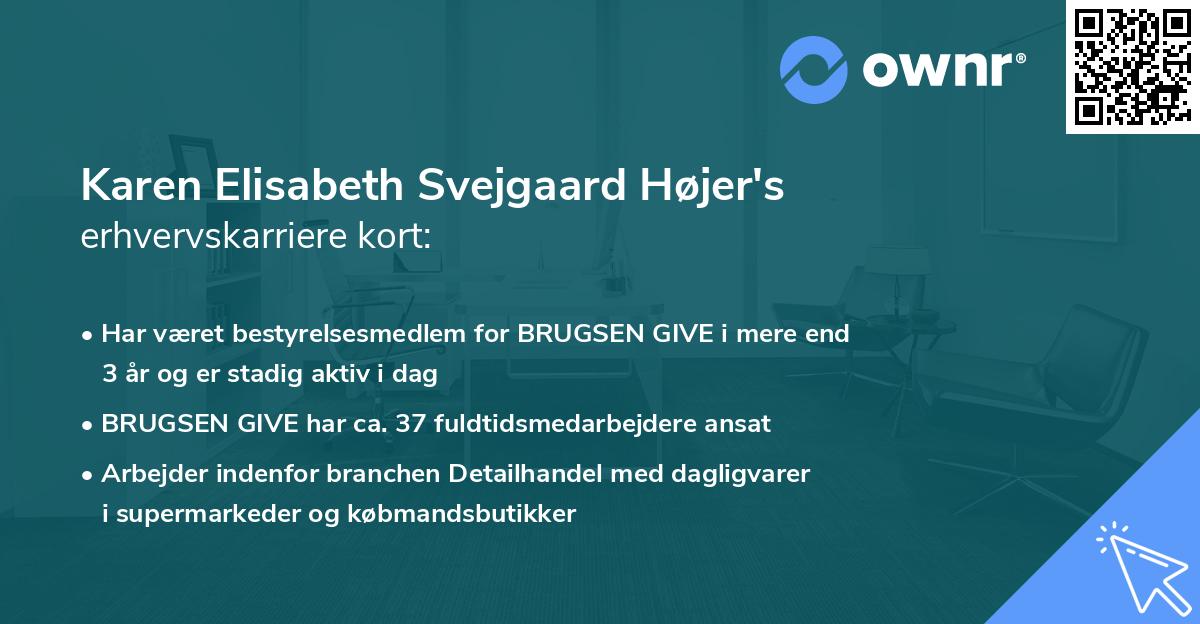 Karen Elisabeth Svejgaard Højer's erhvervskarriere kort