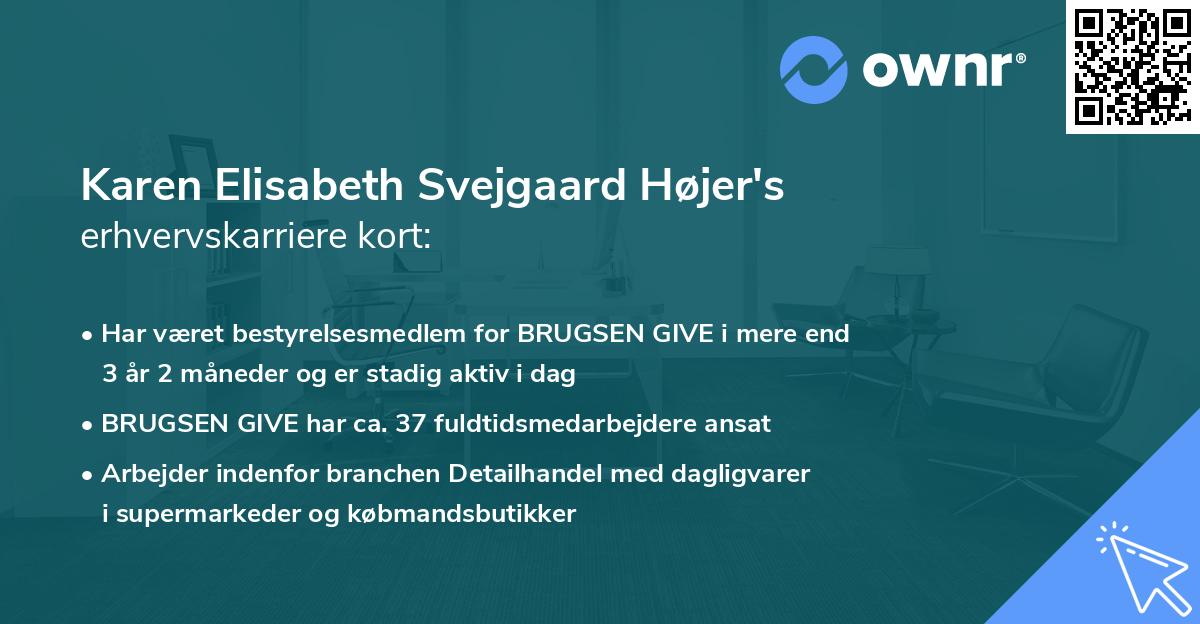 Karen Elisabeth Svejgaard Højer's erhvervskarriere kort