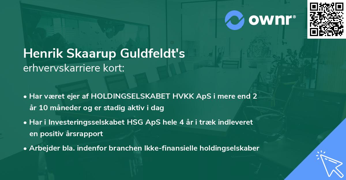 Henrik Skaarup Guldfeldt's erhvervskarriere kort