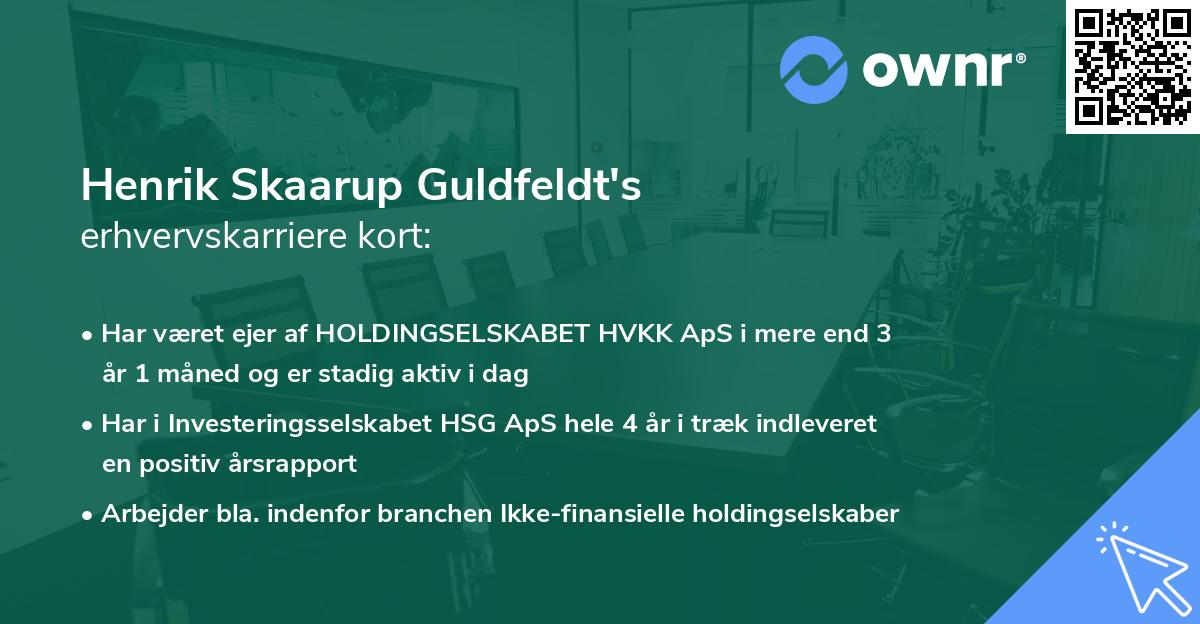 Henrik Skaarup Guldfeldt's erhvervskarriere kort