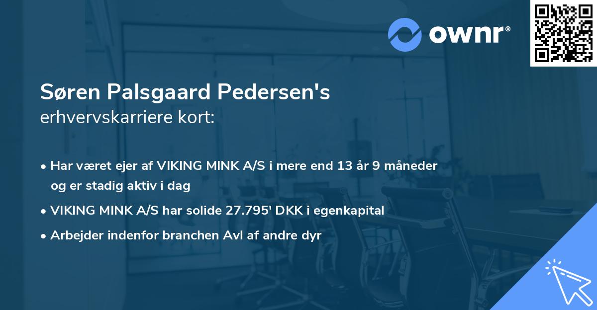 Søren Palsgaard Pedersen's erhvervskarriere kort