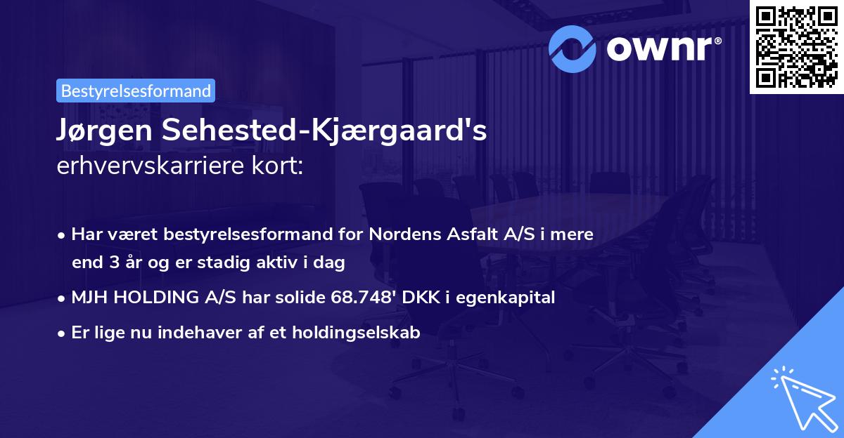 Jørgen Sehested-Kjærgaard's erhvervskarriere kort