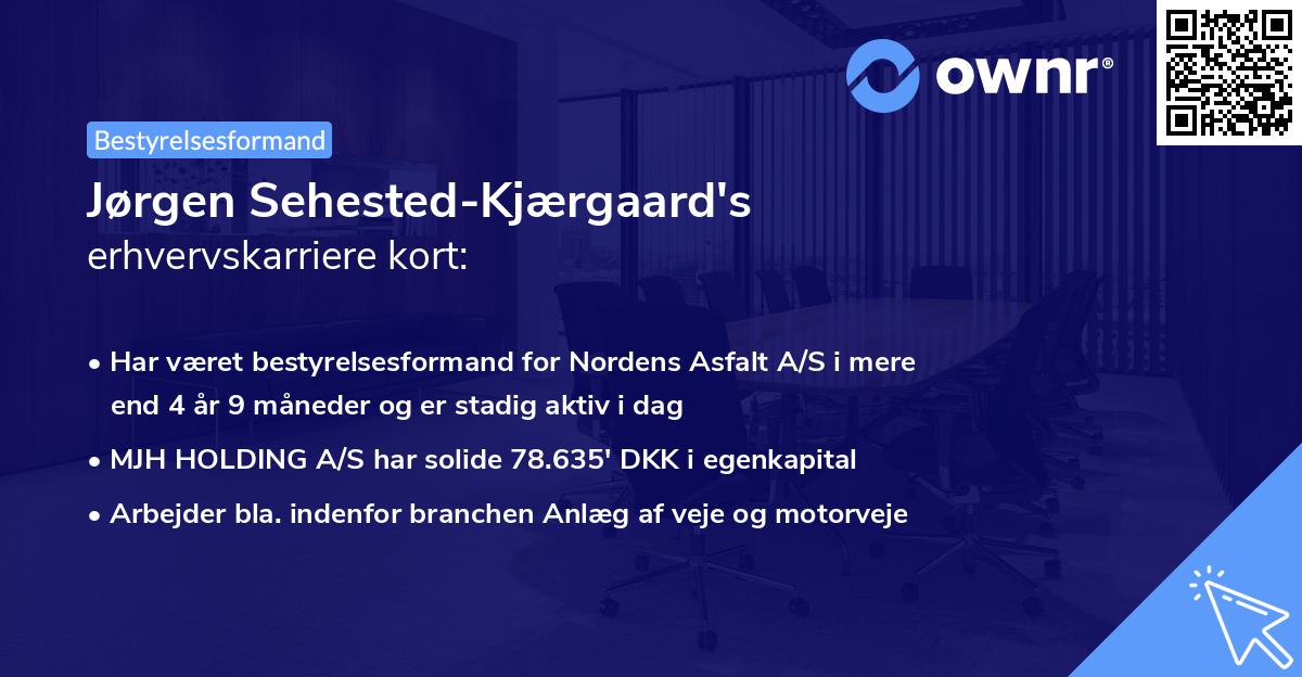 Jørgen Sehested-Kjærgaard's erhvervskarriere kort