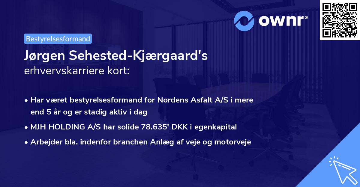 Jørgen Sehested-Kjærgaard's erhvervskarriere kort