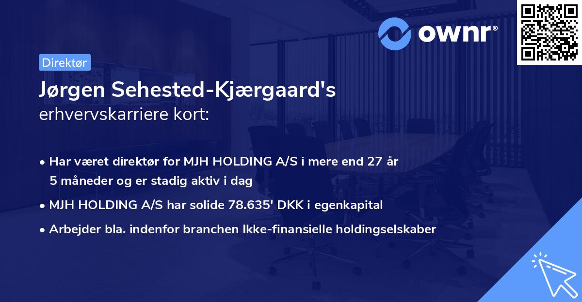 Jørgen Sehested-Kjærgaard's erhvervskarriere kort