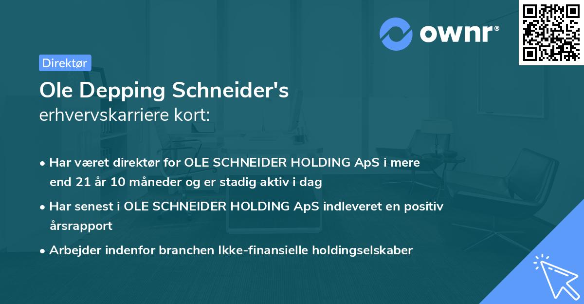 Ole Depping Schneider's erhvervskarriere kort