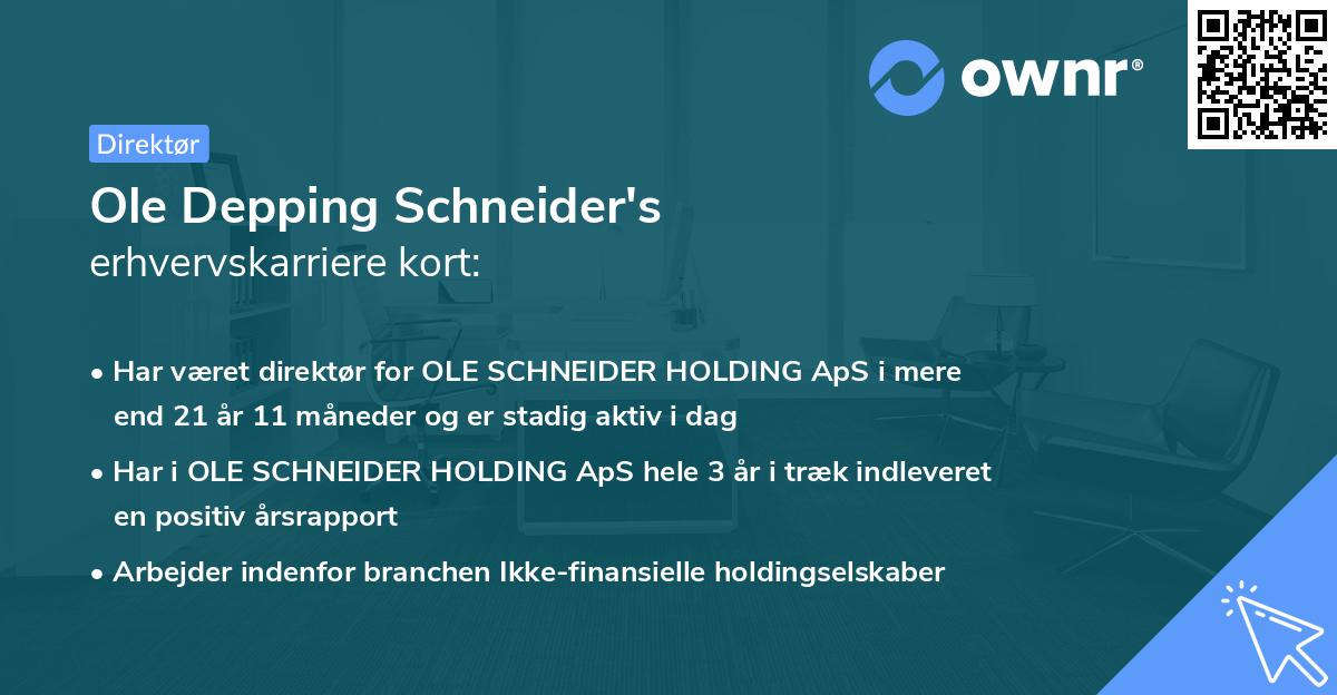 Ole Depping Schneider's erhvervskarriere kort