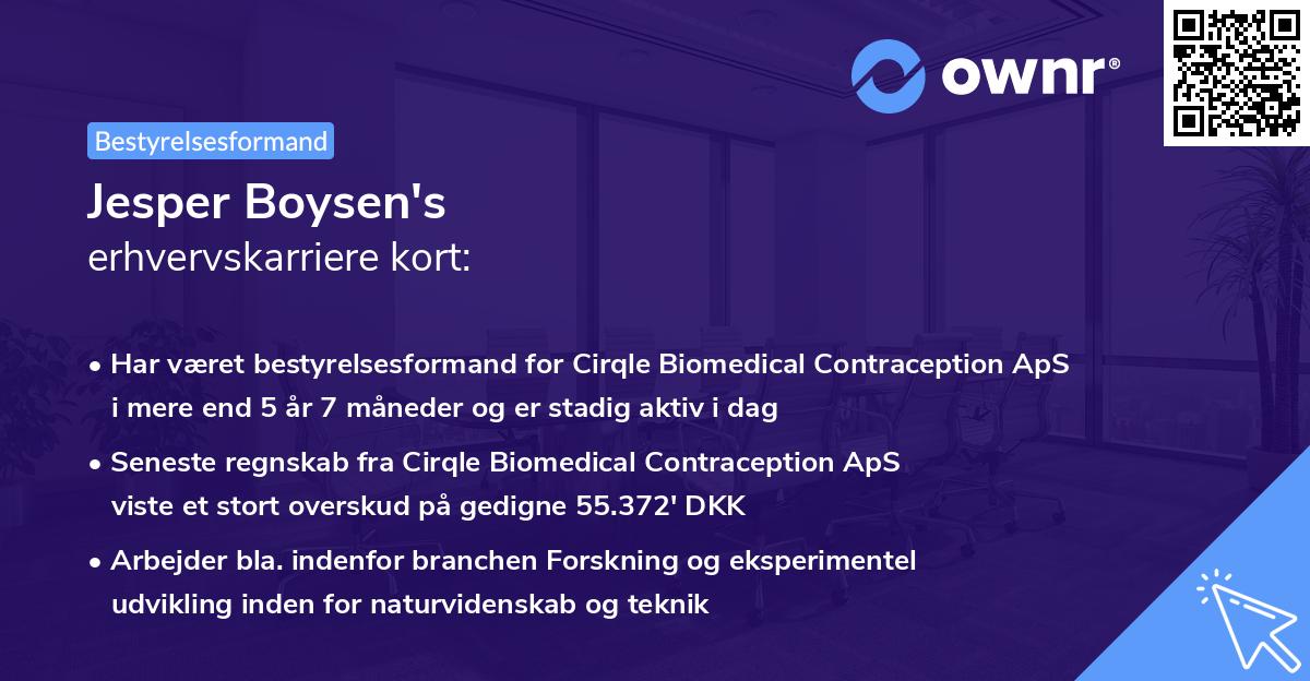 Jesper Boysen's erhvervskarriere kort