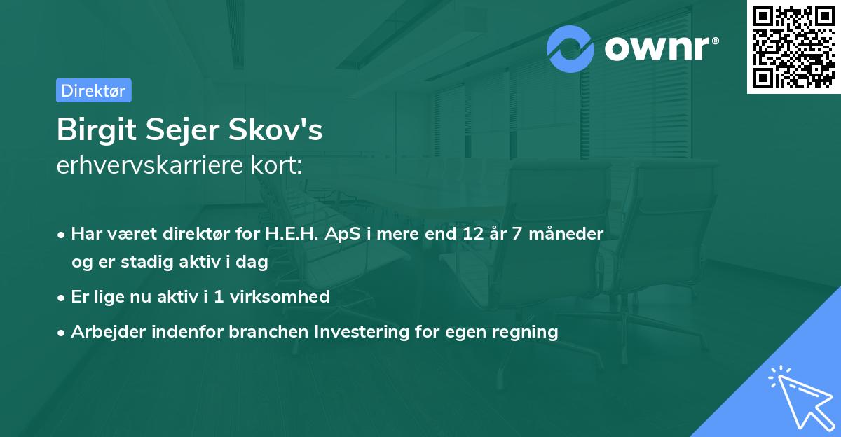 Birgit Sejer Skov's erhvervskarriere kort