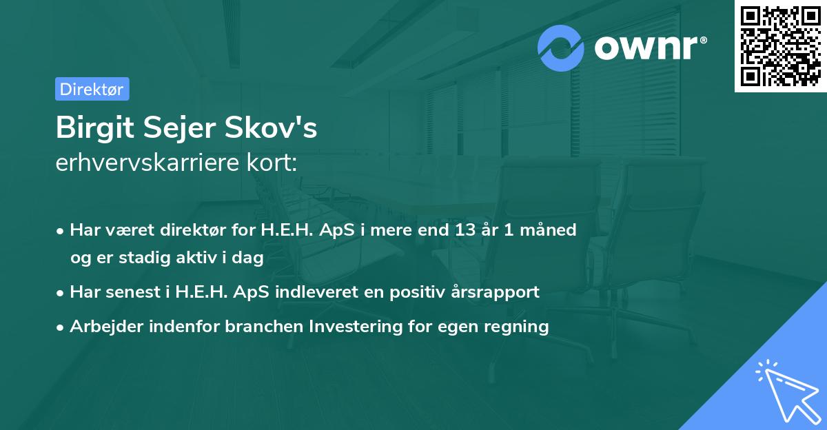 Birgit Sejer Skov's erhvervskarriere kort