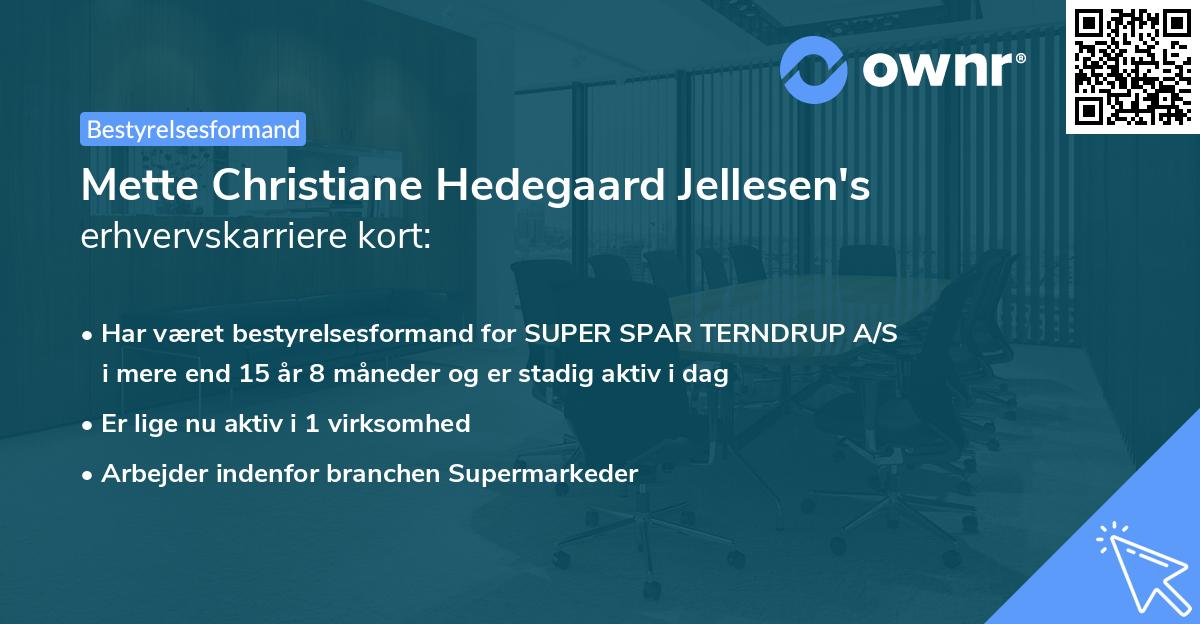 Mette Christiane Hedegaard Jellesen's erhvervskarriere kort