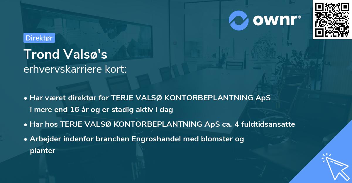 Trond Valsø's erhvervskarriere kort