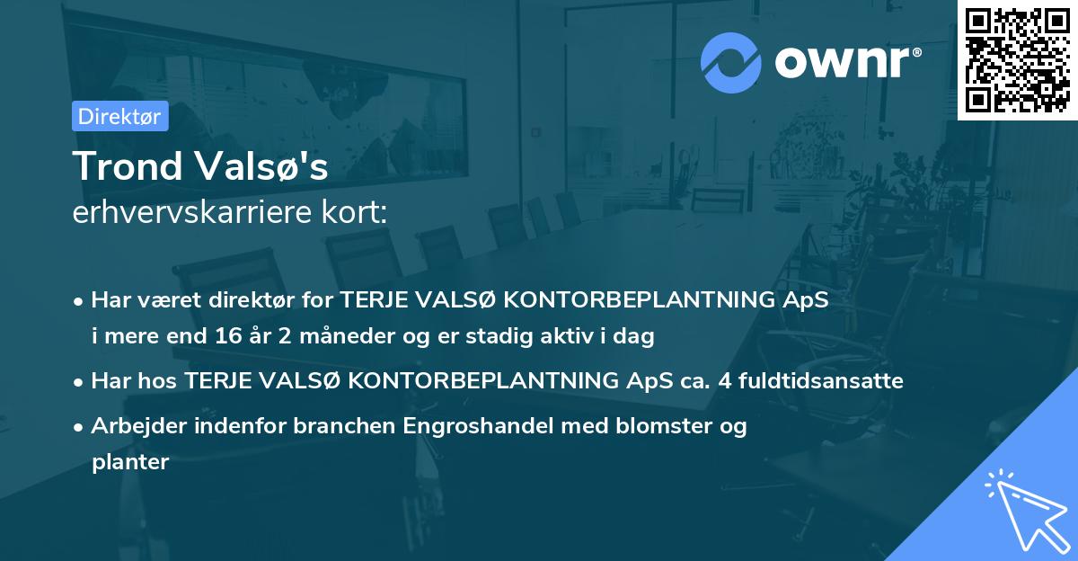Trond Valsø's erhvervskarriere kort