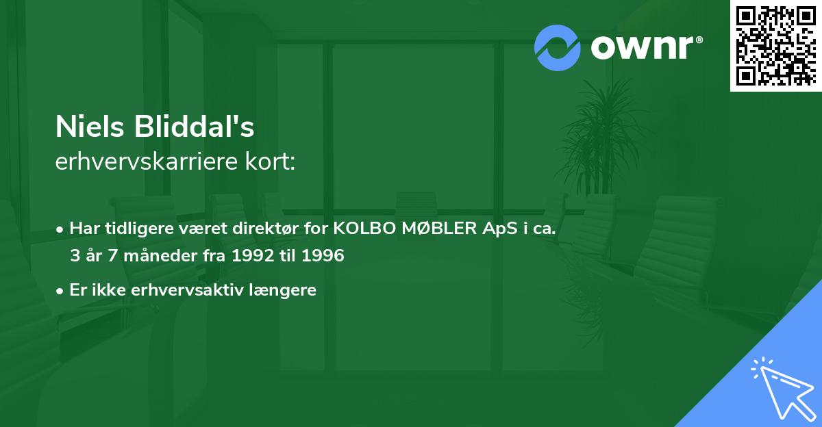 Niels Bliddal's erhvervskarriere kort