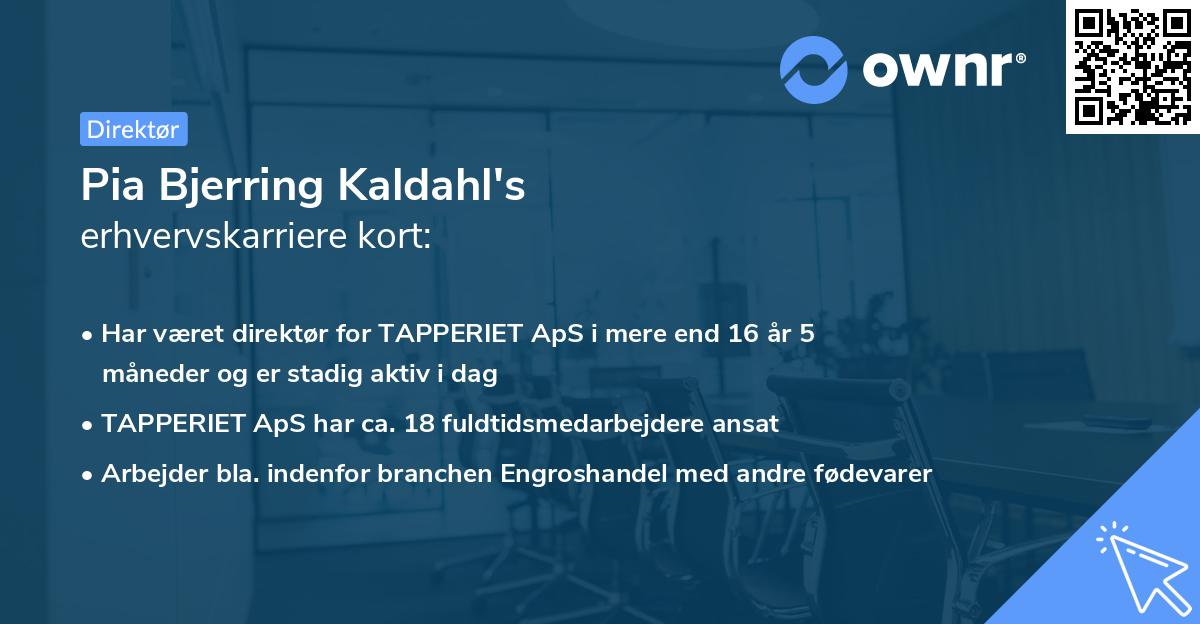 Pia Bjerring Kaldahl's erhvervskarriere kort