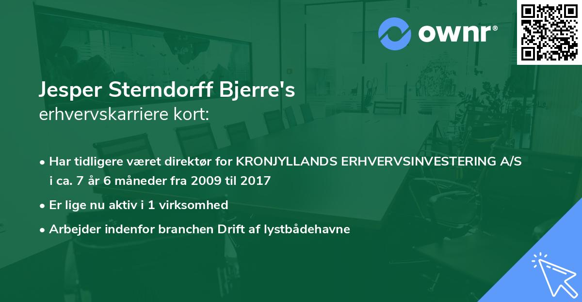 Jesper Sterndorff Bjerre's erhvervskarriere kort