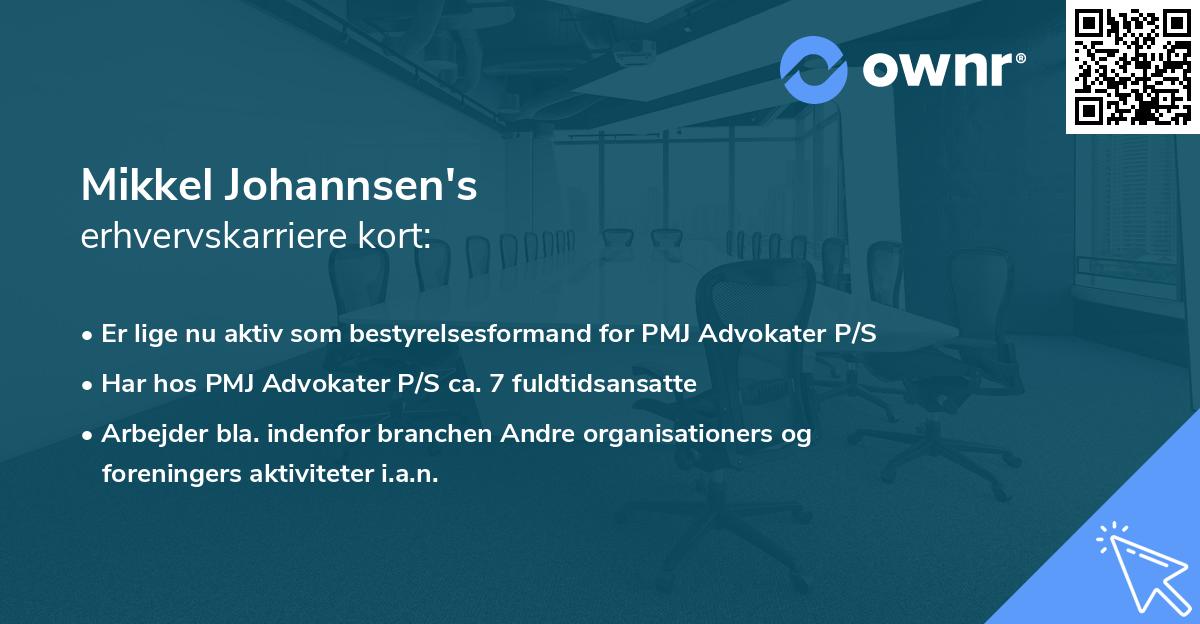 Mikkel Johannsen's erhvervskarriere kort