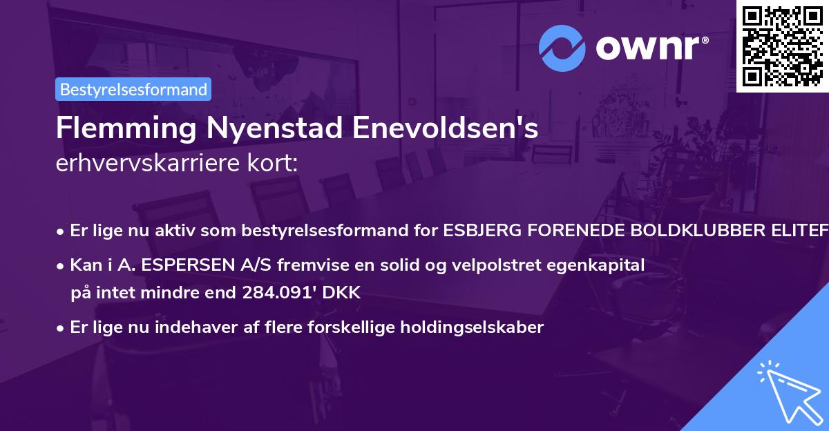 Flemming Nyenstad Enevoldsen's erhvervskarriere kort