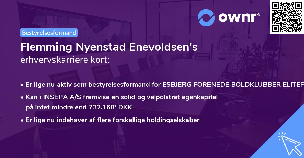 Flemming Nyenstad Enevoldsen's erhvervskarriere kort