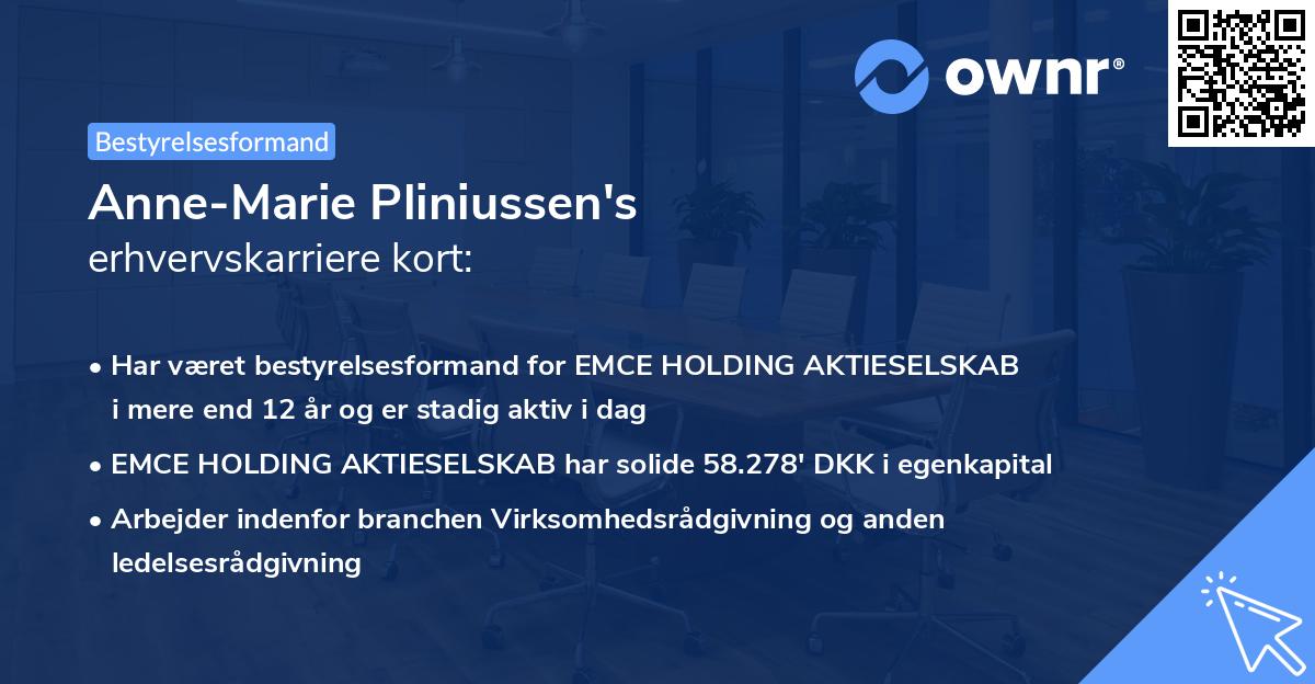 Anne-Marie Pliniussen's erhvervskarriere kort