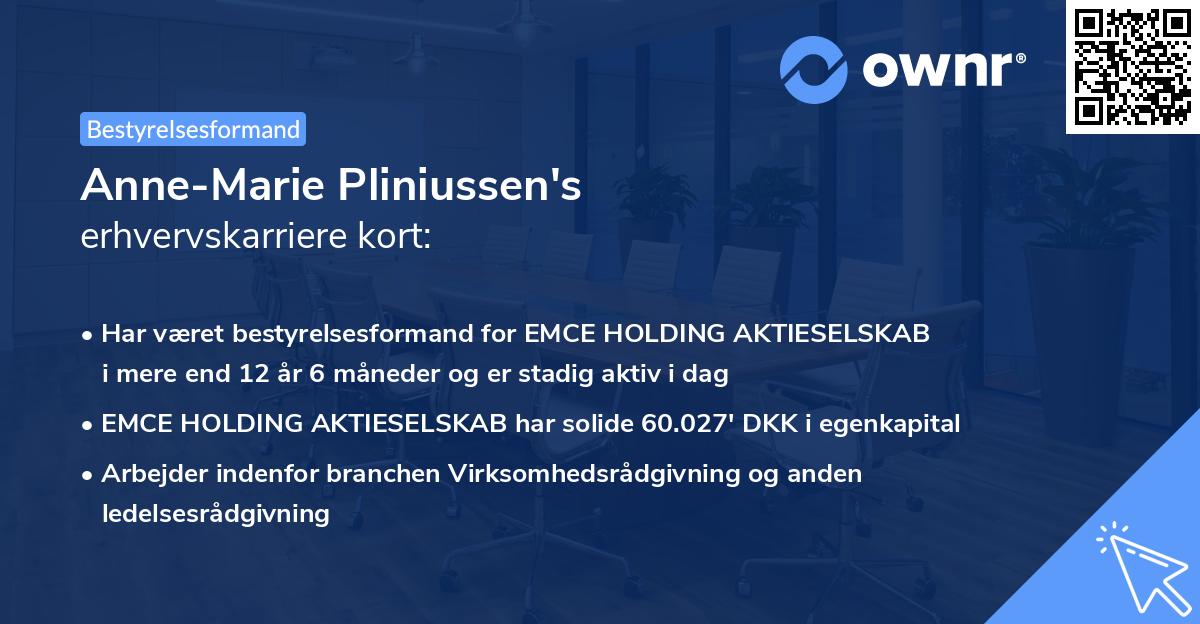 Anne-Marie Pliniussen's erhvervskarriere kort