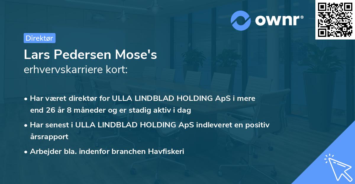 Lars Pedersen Mose's erhvervskarriere kort