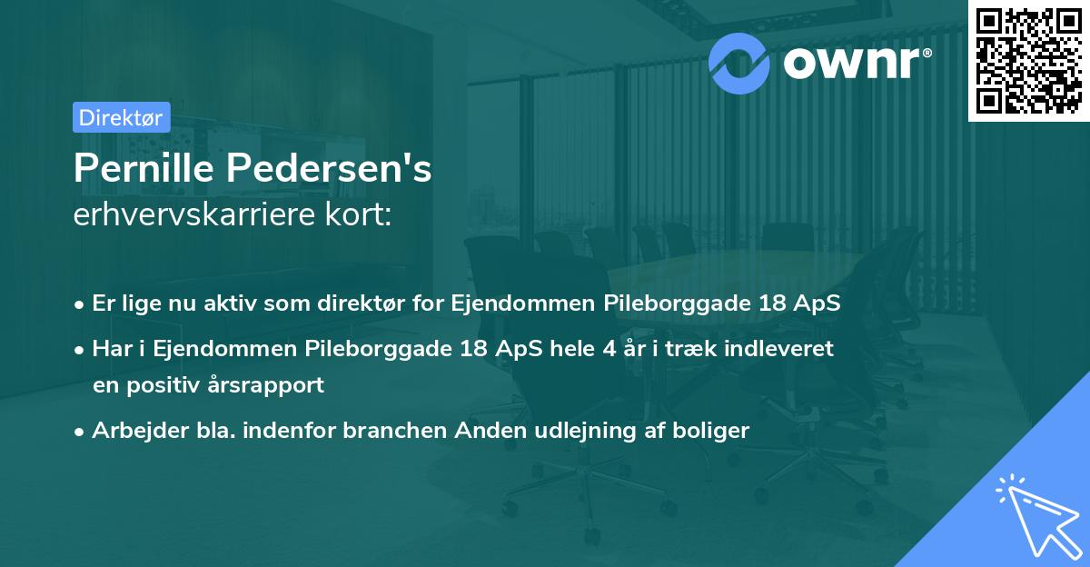 Pernille Pedersen's erhvervskarriere kort