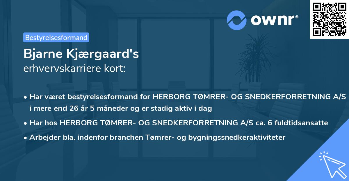 Bjarne Kjærgaard's erhvervskarriere kort