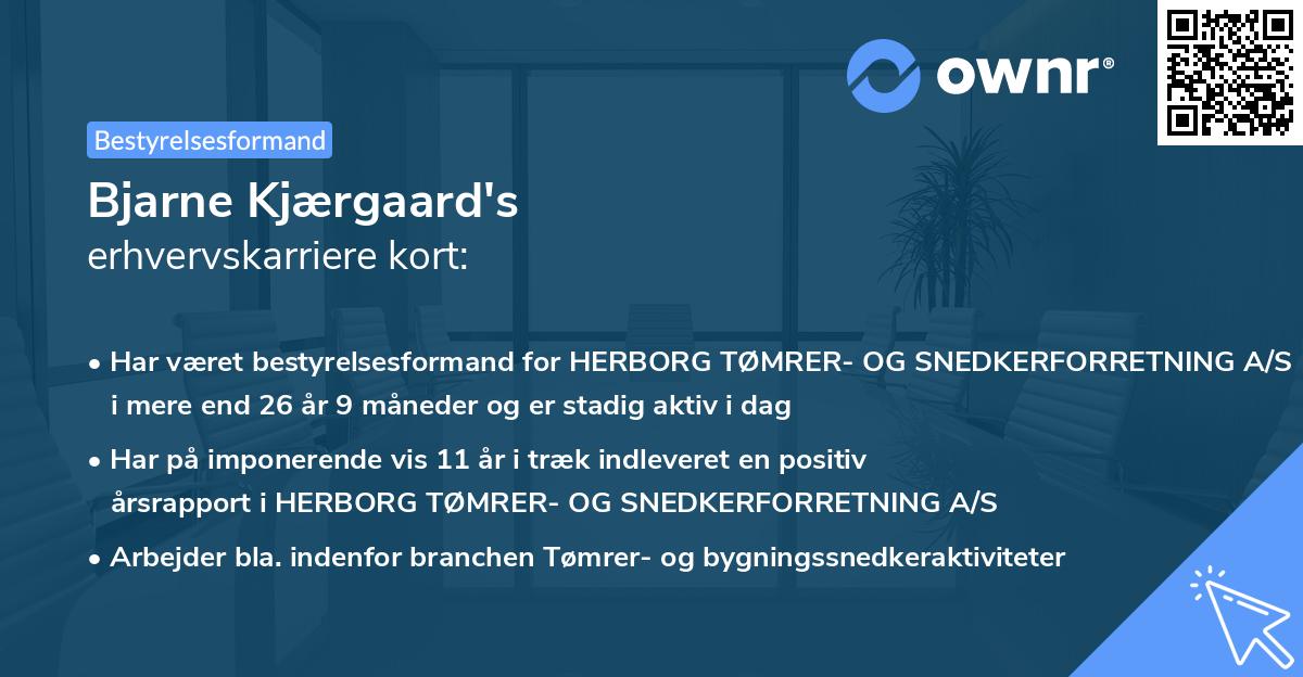 Bjarne Kjærgaard's erhvervskarriere kort